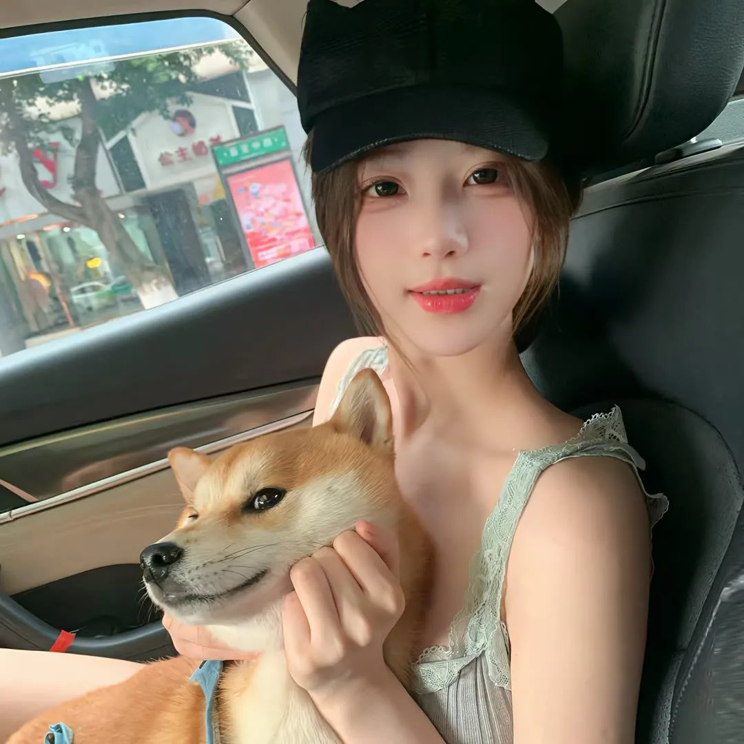 迷失真相